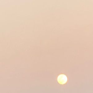 Meet your Posher, Lucy